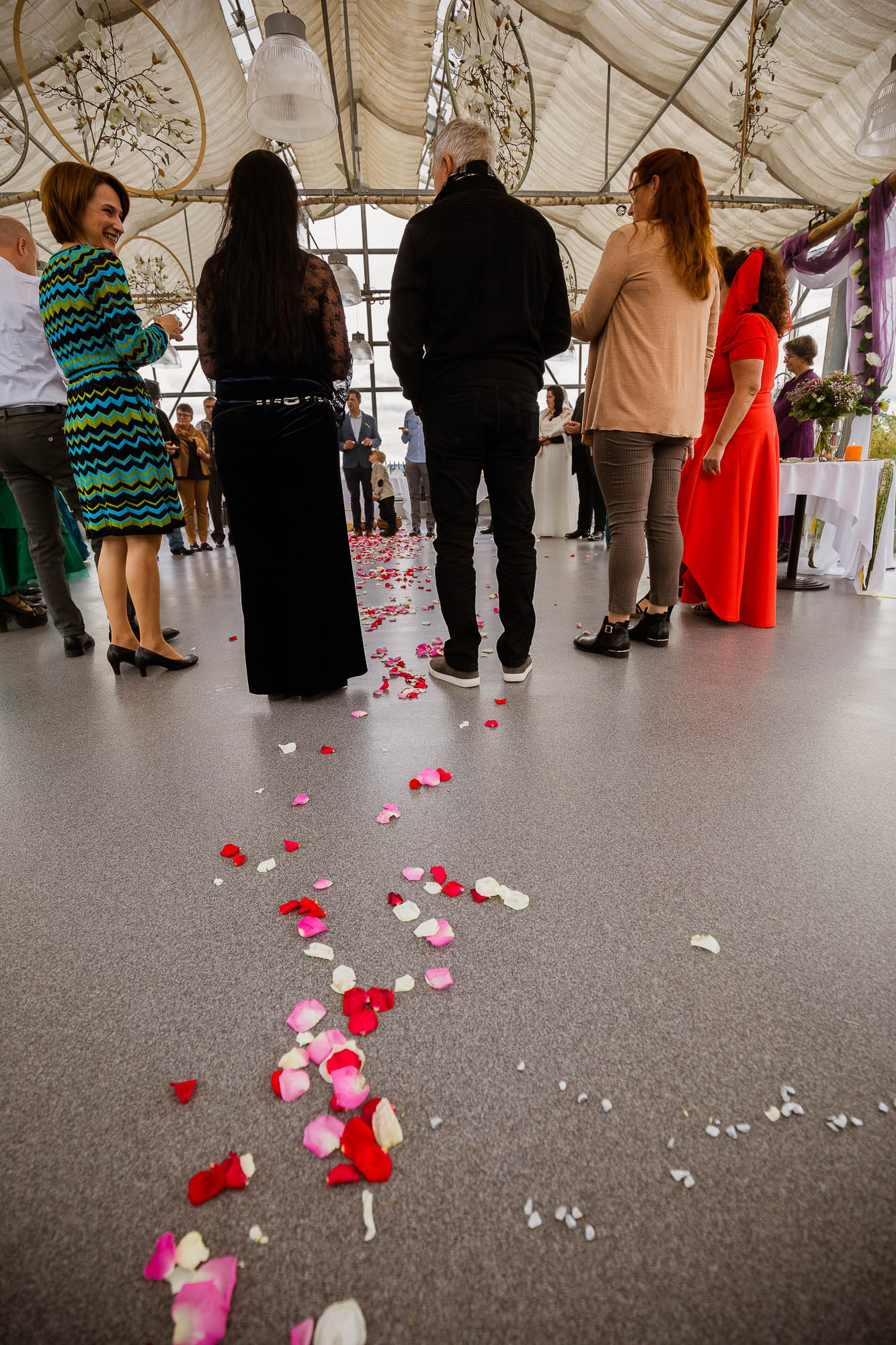 Export x3 5D4 6162 Hochzeit 2020 Claudia & Thomas